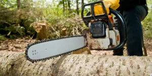Affordable Arboriculture Solutions for Online Shop Owners
